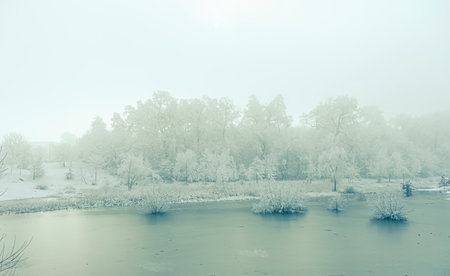 winter time in park from Sibiu city, Romania