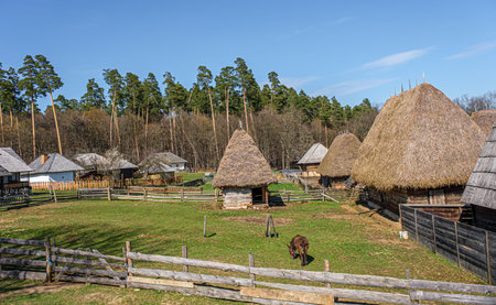 Wonderful rural scene of Romanian traditional houseの写真素材