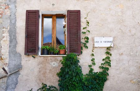 Window with ivy and sign with the name of street