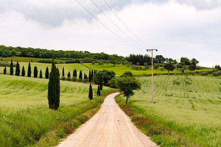 Panoramic view of the a dirt road in Val d'Orcia
