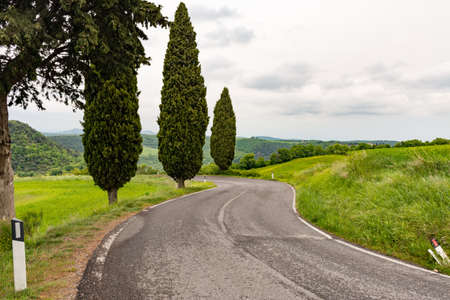 Detail of the famous road near Monticchielloの写真素材