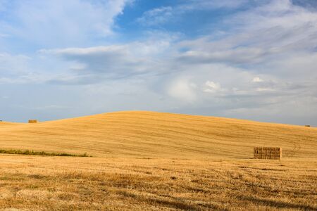 A hill in Val d'Orcia, Tuscany during summerの写真素材
