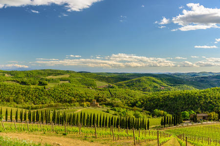 View of the countryside near the town of Radda with a vineyard and a villa.の写真素材