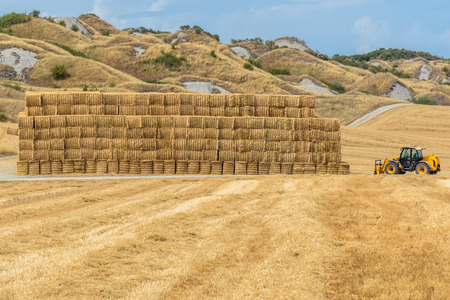 View of a summer day in the Italian rural landscape.の写真素材