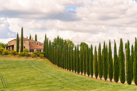 PIENZA, ITALY - MAY 20, 2017 - View of the countryside of Val'dOrcia Natural Area in Tuscany during spring seasonのeditorial素材