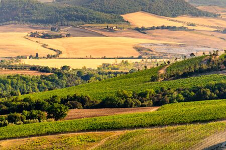Aerial view of a tuscan landscape in summerの写真素材
