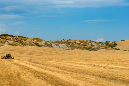 View of a summer day in the Italian rural landscape.の写真素材