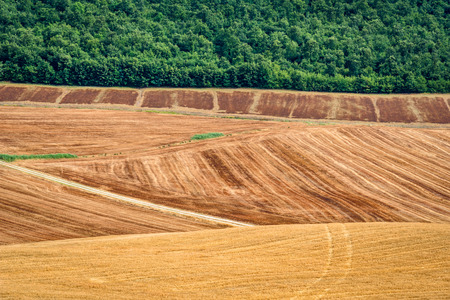 View of a summer day in the Italian rural landscape.