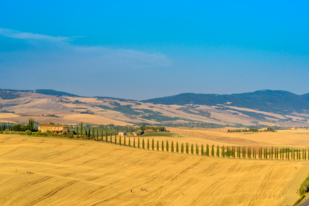 PIENZA, ITALY - JULY 23, 2017 - View of a tuscan landscape in summer in the Natural Area of Val d'Orcia.の写真素材