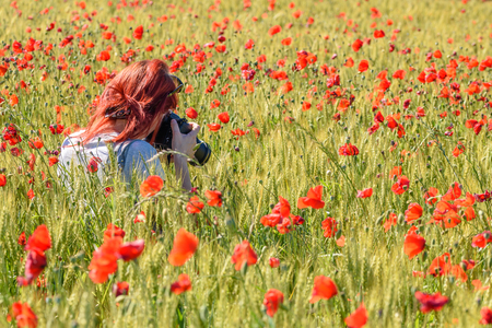 A young girl in the middle of a field take poppy photographsの写真素材