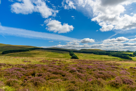 Scenic view of the beautiful nature of Cairgorms National Park in Scotland in summerの写真素材