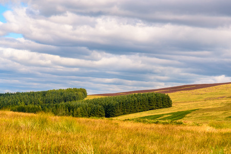 Scenic view of the beautiful nature of Cairngorms National Park in Scotland in summerの写真素材