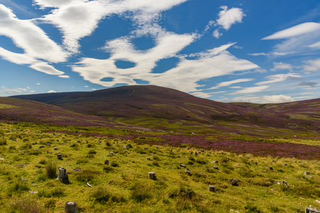 Scenic view of the beautiful nature of Cairngorms National Park in Scotland in summerの写真素材