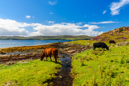 Scenic view of the wonderful nature near Portree, a small town in the Isle of Skye, Scotlandの写真素材