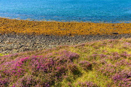 Stunning scottish landscape. The Coral Beaches in the Isle of Skye.の写真素材