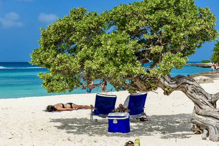 Oranjestad, Aruba - January 4, 2018: Tourists relaxing under a Divi Tree in the idyllic Eagle Beach in Aruba.のeditorial素材