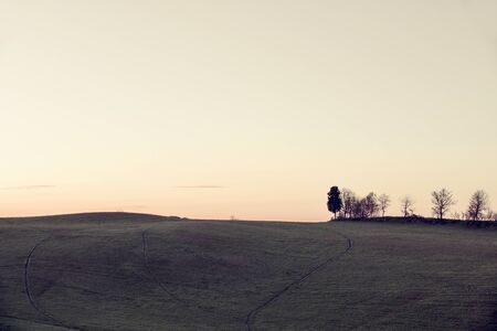 Landscape at sunset light withe trees silhouetteの写真素材