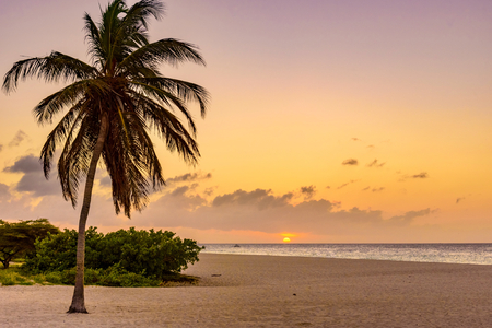 Tropical landscape at sunset. Caribbean idyllic beach.の写真素材