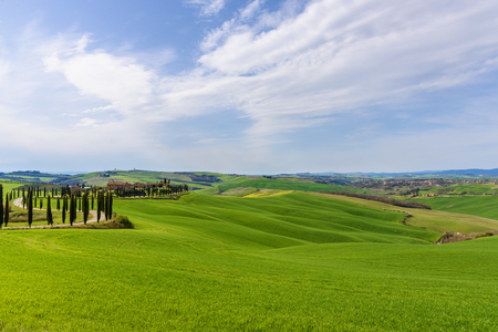 Rural landscape with a row of cypress trees and a villa during spring.の写真素材