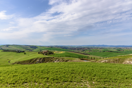 Rural landscape with a row of cypress trees and a villa during spring.の写真素材