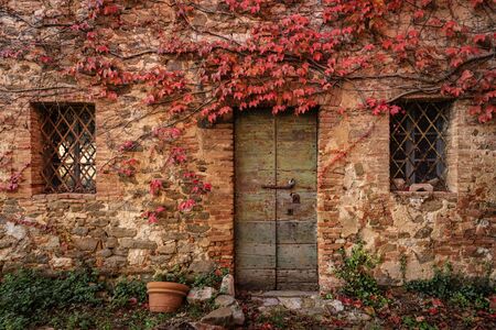 An abandoned building surrounded by red ivy. Autumn season.の写真素材