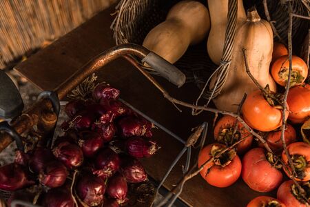 Flat lay composition with chestnust, pomegranate and pumpkins on a wooden tableの写真素材