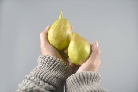 Pear fruit on women hands with sweater on light grey background. horizontal imageの写真素材