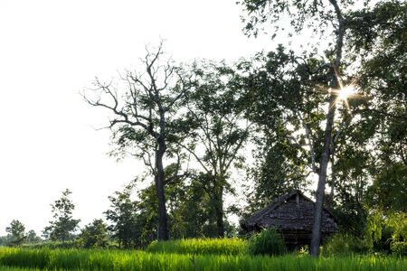 Farmer house with green fields.の写真素材