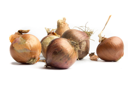 Onions on a white background.の写真素材