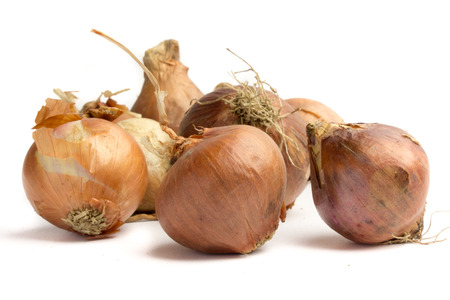 Onions on a white background.の写真素材
