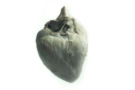 Pig hearts on white backgroundの写真素材