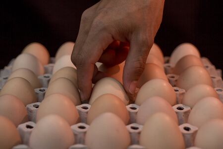 Hand holding egg with de-focus of eggs in paper tray, out of focus selectedの写真素材