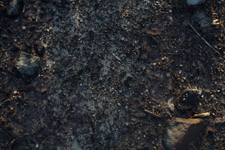 Rock crevice on the ground.の写真素材