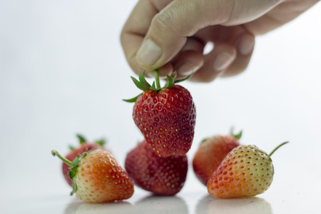 Picking strawberry berry red on white isolate,
Front view isolated white.の写真素材