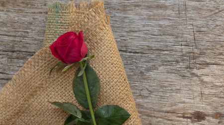 Rose lay on the wooden floor on the day of love,Valentine's.の写真素材
