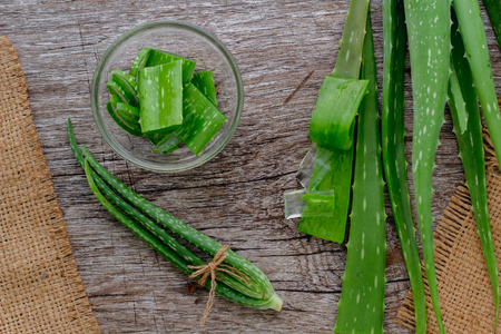 Aloevera fresh leaf on the wooden table,aloe vera on wooden table,Herbs for Health,copy space.の写真素材