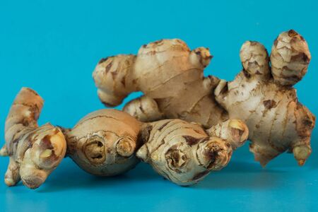 Root ginger on a blue studio background.の写真素材