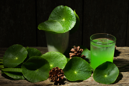 Herbal juice from Centella asiatica,wooden scene,Centella asiatica,Gotu kolaの写真素材