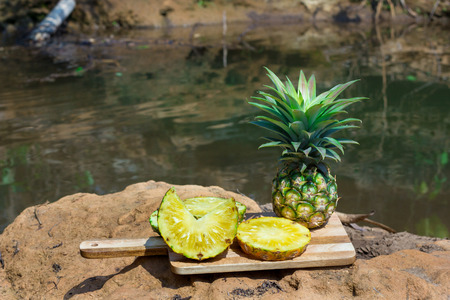 Pineapple juice waterfall,copy space.の写真素材
