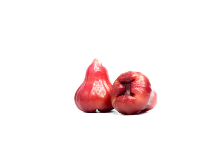 Rose apple isolated on the white background.の写真素材