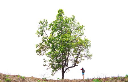 Left me alone, she,People stand trees on a white background.の写真素材