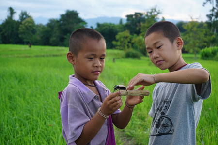 PHOP PHRA,TAK/THAILAND - September 10:An unidentified child Playing beetle. on september 10,2017 in PHOP PHRA,TAK/THAILAND.のeditorial素材