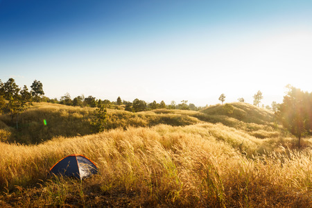 outdoors camping grass highlands mountain in the Sunset.の写真素材