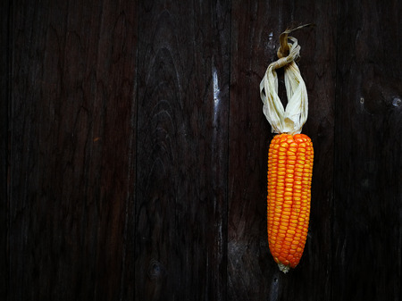 Orange corn hanging on a wooden floor,
Corn pee.の写真素材