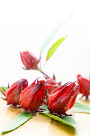 Red roselle healthy red.の写真素材