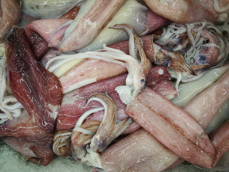 Seafood. Food Background. Close Up Of Fresh Caught Gourmet Squids.