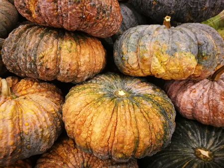 Grouping of large green pumpkins stacked together and ready for sale at local farmers market.の写真素材