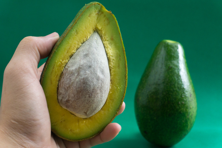 Avocado in hand, avocado fruit has a pleasant yellow texture.