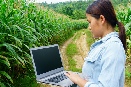 A young girl inspects the corn and notes the observations found.の写真素材