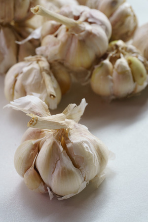 White garlic on old gray wood floor.の写真素材